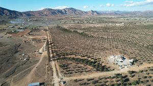 TERRENO EN VENTA EN VALLE DE GUADALUPE ENSENADA