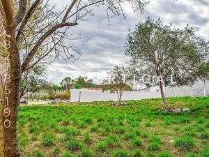 Terreno en Venta en Santiago, Nuevo León: Privacidad y Naturaleza