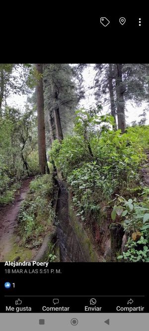 Terreno en Venta en Santa Ana Jilotzingo, Estado de Mexico