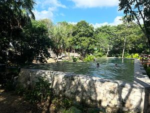 Casa en coto privado con increíble CENOTE en bosques de bambu