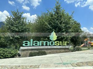 Alamo Sur