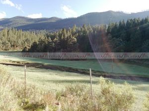 Venta Terreno Comercial Galeana En Galeana