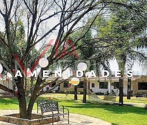 Terreno / Lote en Venta en Allende