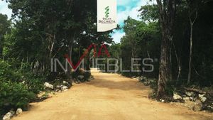 Terreno Residencial En Venta En Tulum, Tulum, Quintana Roo