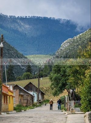 Los Llanos, Arteaga (Huachichil)