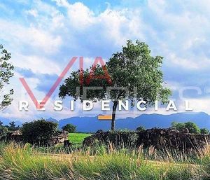 Terreno / Lote en Venta en Allende