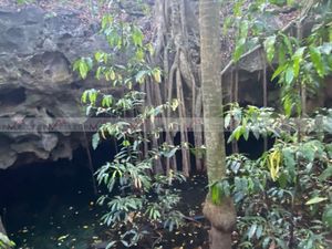 Cenotes Yucatán Santa Rosa