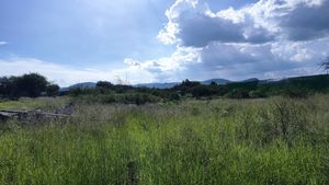 Terreno con Bodegas y Oficinas Industriales en Valladolid