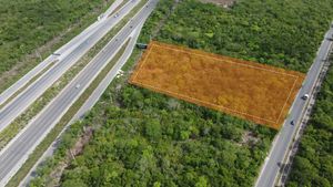 Terreno en Venta sobre carretera Mérida Progreso al norte de Mérida Yucatán.