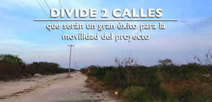 Terreno  de 80 hectáreas en Venta en norte de Mérida Yucatán.