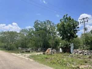 Terreno en venta de 103 has en Tecoh Yucatán.