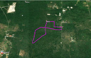 Terreno en Venta de 378 hectareas en San Antonio  Tzacalá Yucatán.