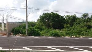 Terreno de 6.9 hectáreas en venta sobre periférico sur de Mérida Yucatán.