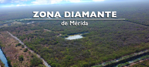 Terreno  de 80 hectáreas en Venta en norte de Mérida Yucatán.