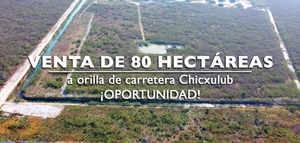 Terreno  de 80 hectáreas en Venta en norte de Mérida Yucatán.