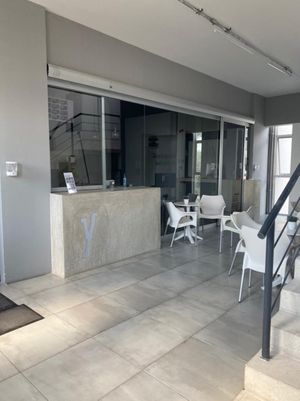 Oficinas en la Avenida Andrés García Lavin de 104.00 m2 en Renta