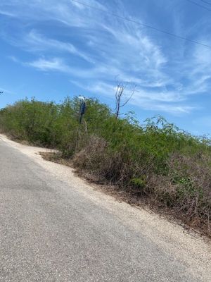 Terreno en Temozón sobre el Segundo anillo Perifericoa la vuelta  de OMH