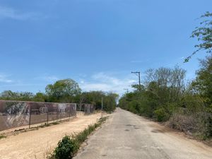 Terreno en Temozón sobre el Segundo anillo Perifericoa la vuelta  de OMH