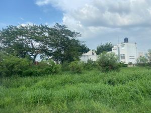 Terreno en venta Bosques en Campeche