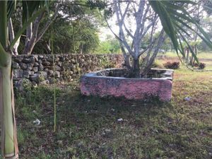 TERRENO, EX GRANJA DE 4 HECTÁREAS EN UMÁN, MÉRIDA. VENTA