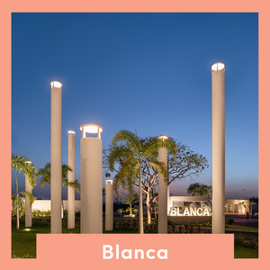 SE VENDE TERRENO EN BLANCA RESIDENCIAL