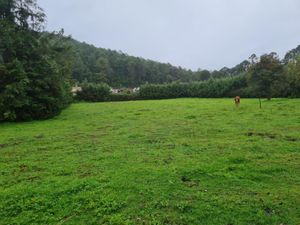 Terreno en Venta en Cungo Salvador Escalante