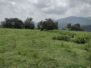 Terreno en Venta en Dexcani Alto Jilotepec