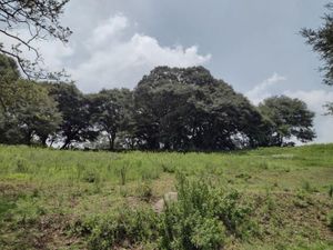 Terreno en Venta en Dexcani Alto Jilotepec