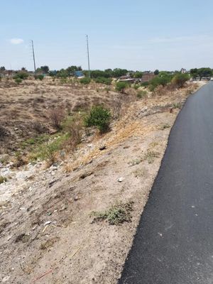 TERRENO EN VENTA, CARRETERA SILAO - IRAPUATO, IRAPUATO, GUANAJUATO.