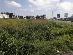 TERRENO EN RENTA, CARR. IRAPAUTO- ABASOLO, IRAPUATO, GUANAJUATO