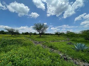 TERRENO CAMPESTRE, EN VENTA, SALAMANCA IRAPUATO