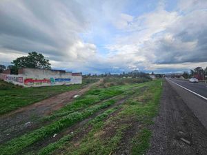 TERRENO EN VENTA, CARRETERA ABASOLO, IRAPUATO, IRAPUATO, GUANAJUATO