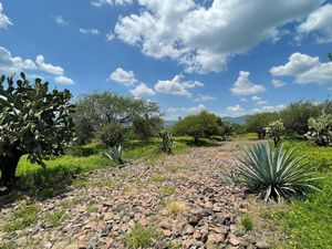 TERRENO CAMPESTRE, EN VENTA, SALAMANCA IRAPUATO