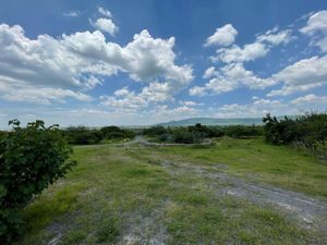 TERRENO CAMPESTRE, EN VENTA, SALAMANCA IRAPUATO