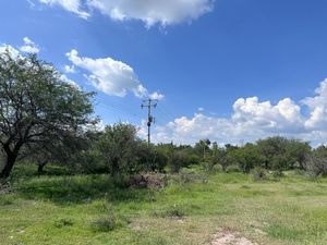 TERRENO CAMPESTRE EN VENTA, SANTA ANA DEL CONDE, SILAO, GUANAJUATO