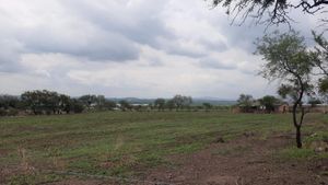 TERRENO CAMPESTRE EN VENTA,  CERRITO DE HORTA, GUANAJUATO