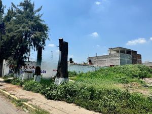 TERRENO EN VENTA, SAN MIGUELITO, IRAPUATO, GUANAJUATO