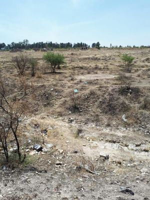 TERRENO EN VENTA, CARRETERA SILAO - IRAPUATO, IRAPUATO, GUANAJUATO.