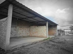 TERRENO EN VENTA, CARRETERA ABASOLO, IRAPUATO, IRAPUATO, GUANAJUATO