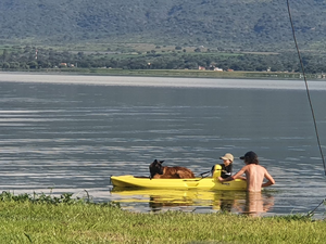 Terreno en VENTA, Laguna Cajititlán