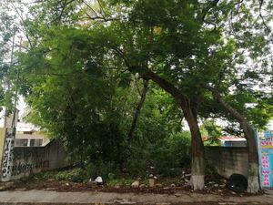 Terreno en renta en Pensiones, Mérida