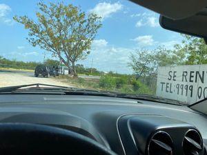 Terreno en renta sobre carretera Merida-Cancun, Ticopó