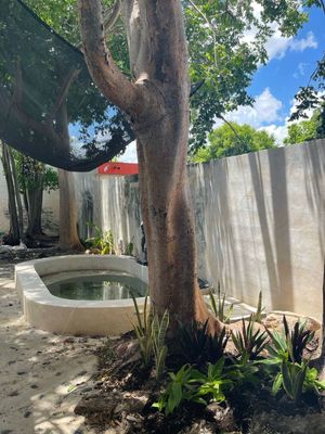 Casa en renta en Mérida, Carranza