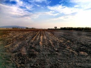 Terreno de Oportunidad