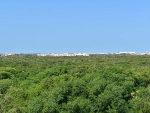 MACROLOTES en VENTA en Tulum, Quintana Roo