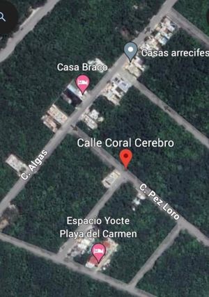 Terreno En Venta, En La Ciudad De Playa Del Carmen, Municipio De Solidaridad.