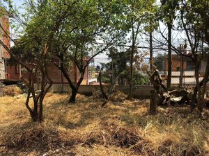 Terreno en venta, Torres del Potrero, Alvaro Obregon