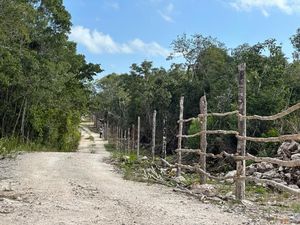 CAMINO A LOS TERRENOS CAMPESTRE 
