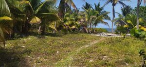 3100 m2  playa en mahahual