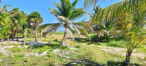 3100 m2  playa en mahahual